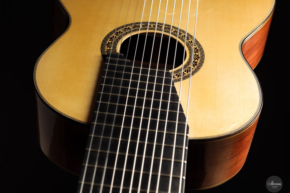 Heikki Rousu - 2025 No. 487 11-string