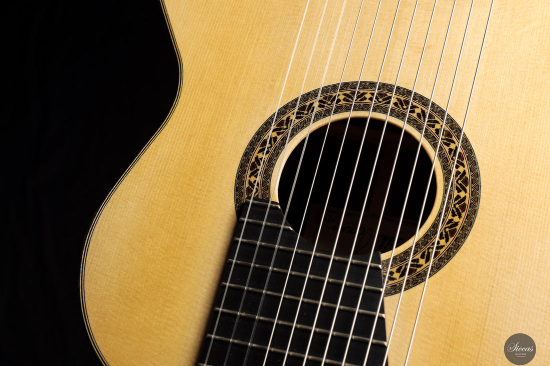 Heikki Rousu - 2025 No. 487 11-string