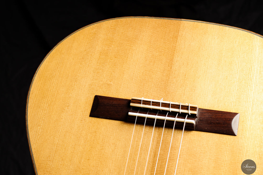 Heikki Rousu - 2025 No. 491 True Temperament fretboard