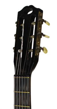 Hermann Hauser ® I - Viennese Model 1920