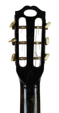 Hermann Hauser ® I - Viennese Model 1920