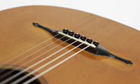 Hermann Hauser ® I - Viennese Model 1920