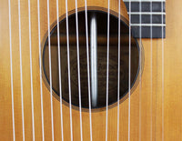 Hermann Hauser ® I - 1909 Contraguitar