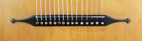 Hermann Hauser ® I - 1909 Contraguitar