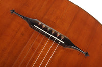 Hermann Hauser ® I - Viennese Model 1919
