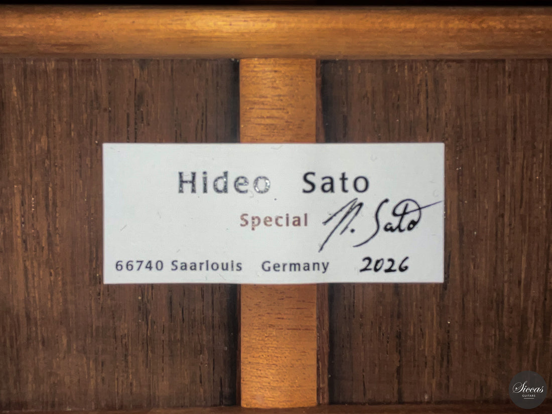 Hideo Sato - 2026 Special