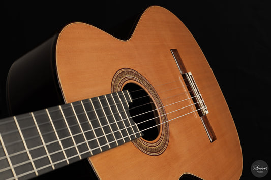 Jesus Bellido - 2026 Opus 133 Alma Aurea img-2