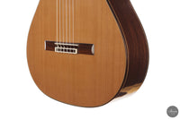 Jesus Bellido - 2026 Opus 133 Alma Aurea