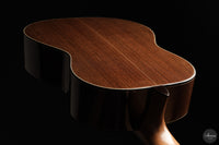 Jialan Chen - 2026 Coclea Thucea "Fibonacci"