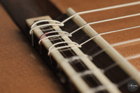 Johan Sarens - 2026 Lattice