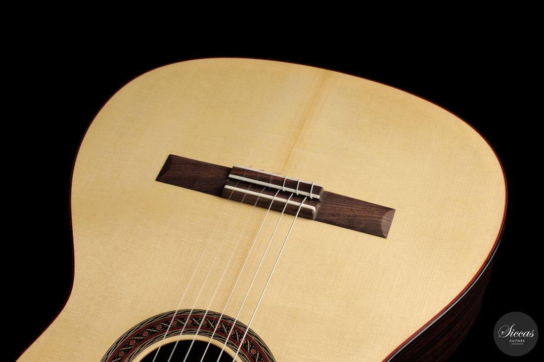 Jose Marques - 2026 Doubletop 64 cm