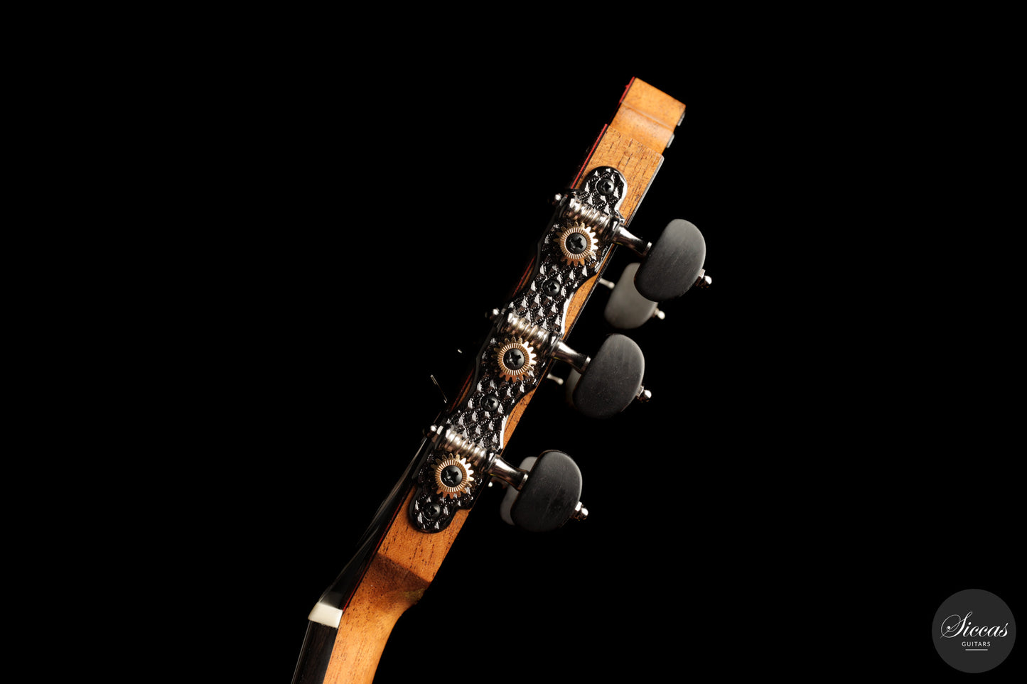 Jose Marques - 2026 Doubletop 64 cm