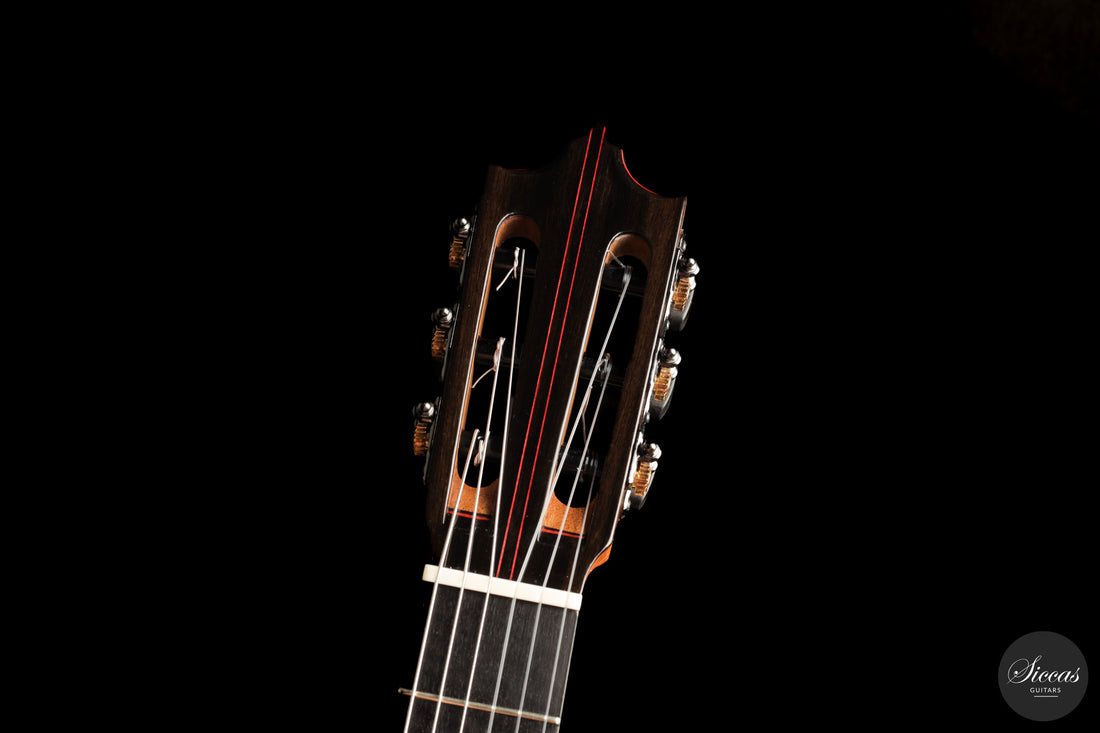 Jose Marques - 2026 Doubletop 64 cm