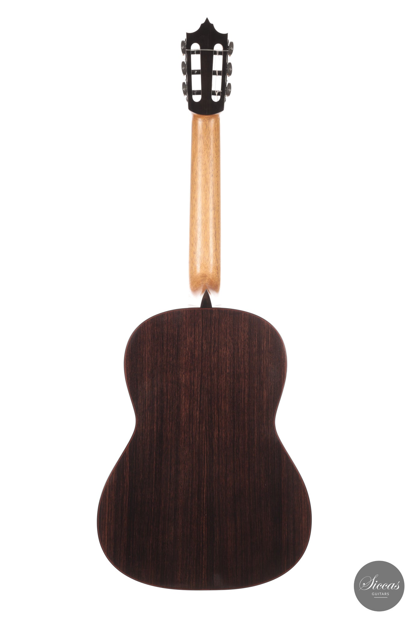 Jose Marques - 2026 Doubletop 64 cm