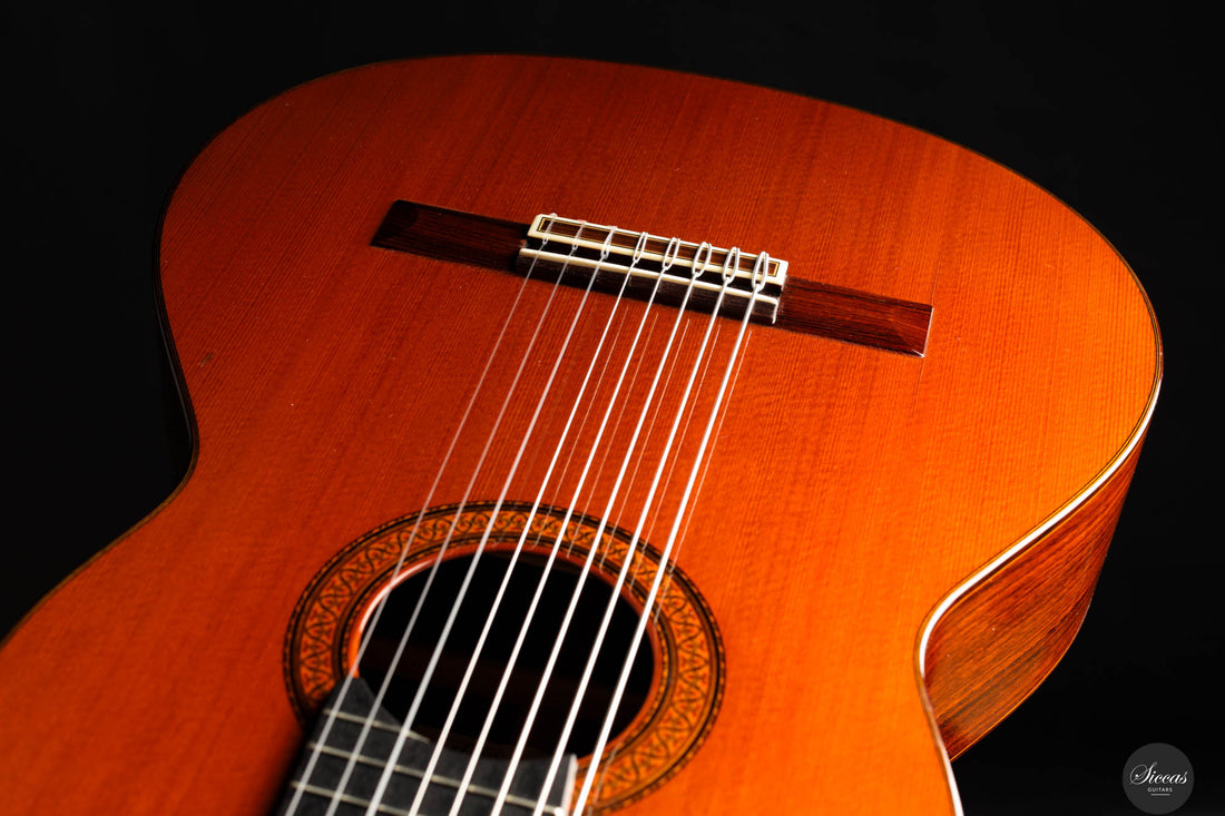 Jose Ramirez - 1976 - 1a No.10098 8-strings