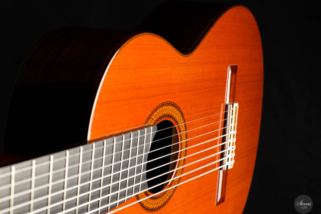 Jose Ramirez - 1976 - 1a No.10098 8-strings