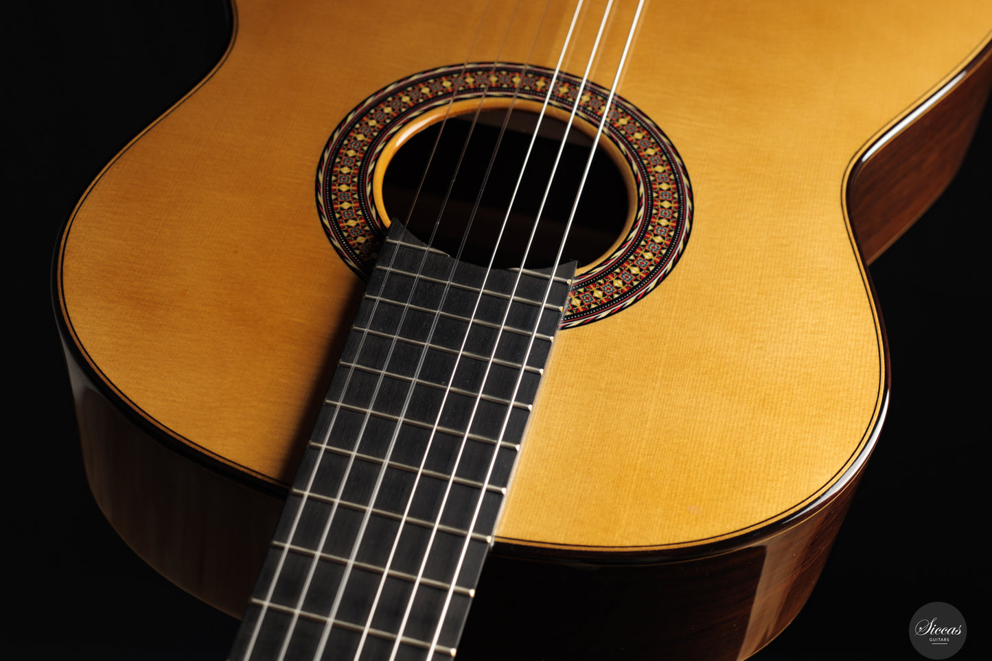 José Salinas - 2024 Spruce/Madagascar rosewood Especial
