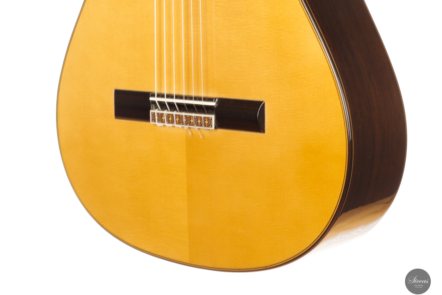 José Salinas - 2024 Spruce/Madagascar rosewood Especial