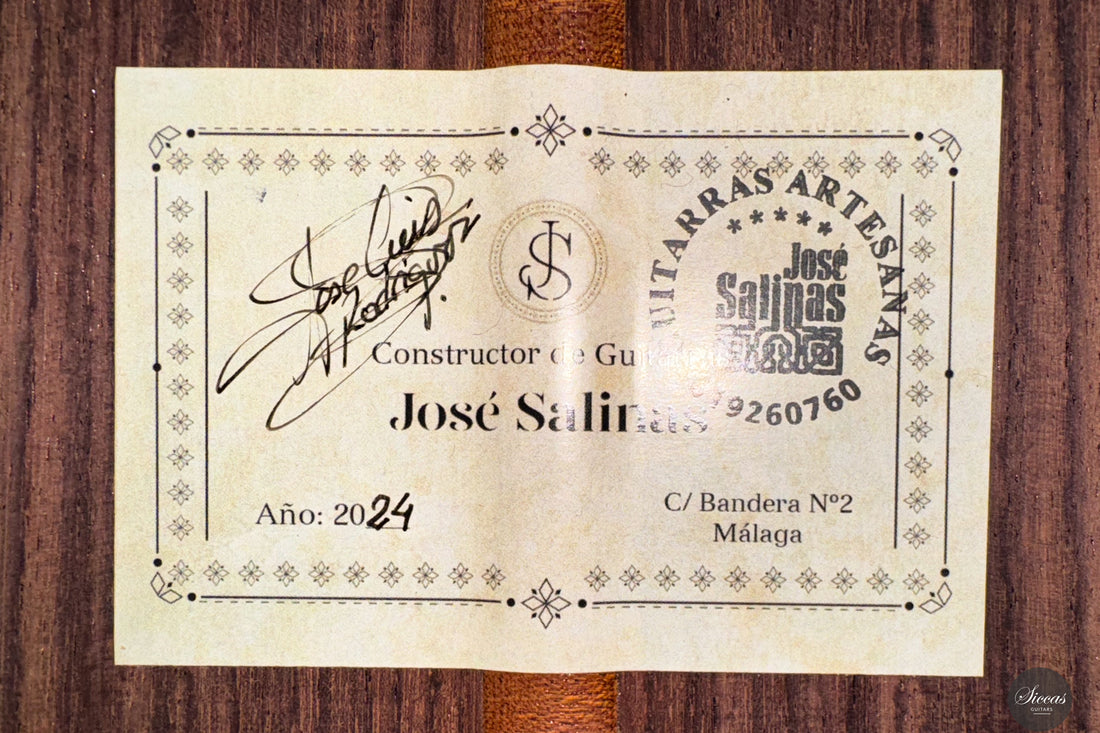 José Salinas - 2024 Spruce