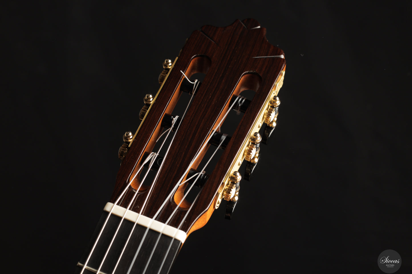 José Salinas - 2024 Spruce