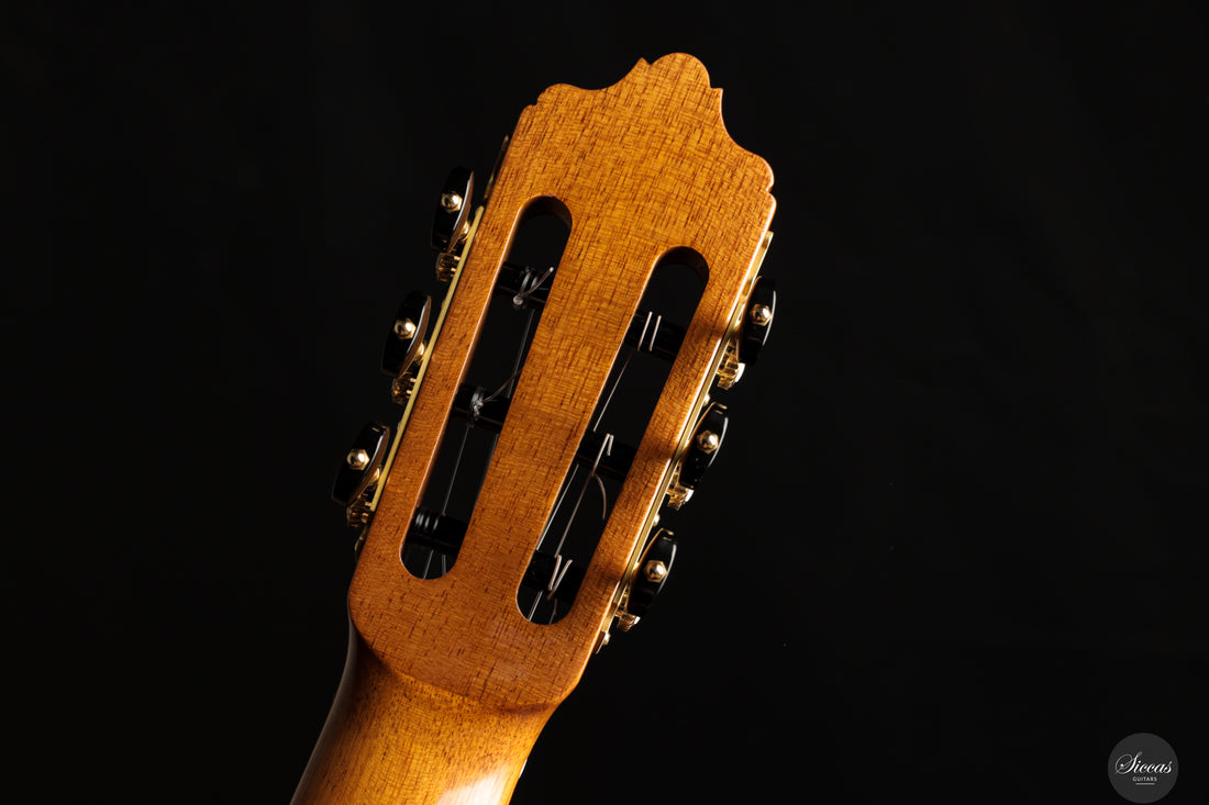 José Salinas - 2024 Spruce