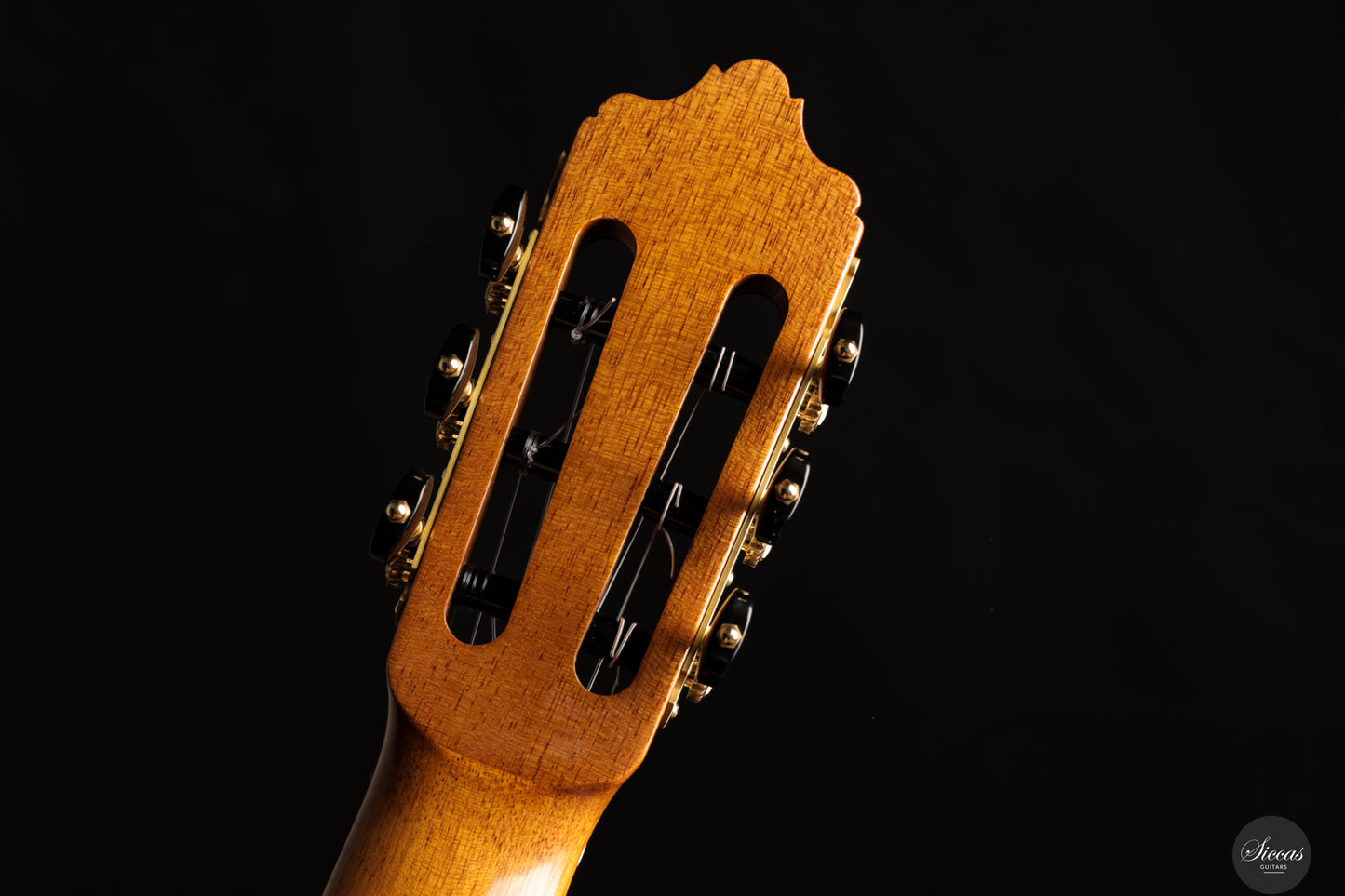José Salinas - 2024 Spruce