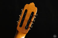 José Salinas - 2024 Spruce