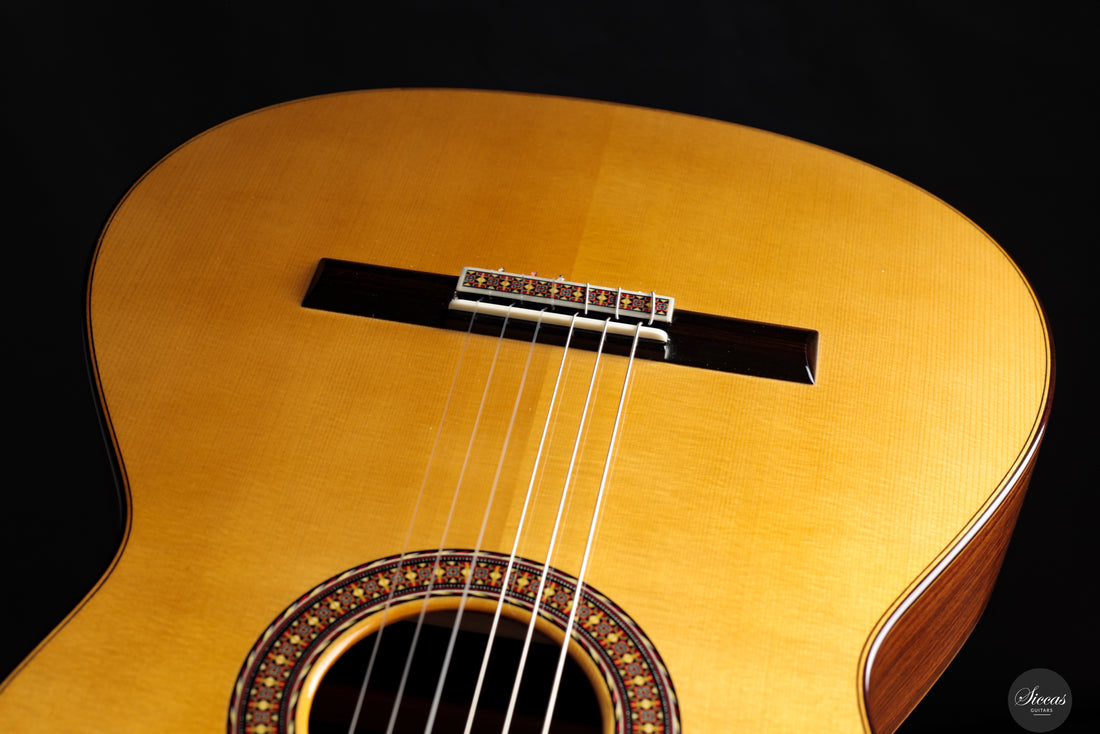 José Salinas - 2024 Spruce