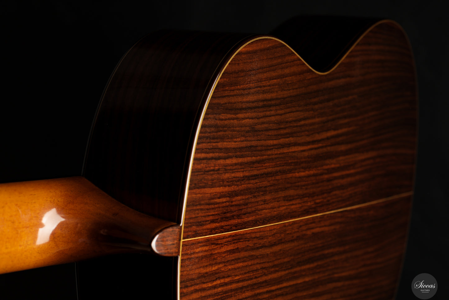 José Salinas - 2024 Spruce