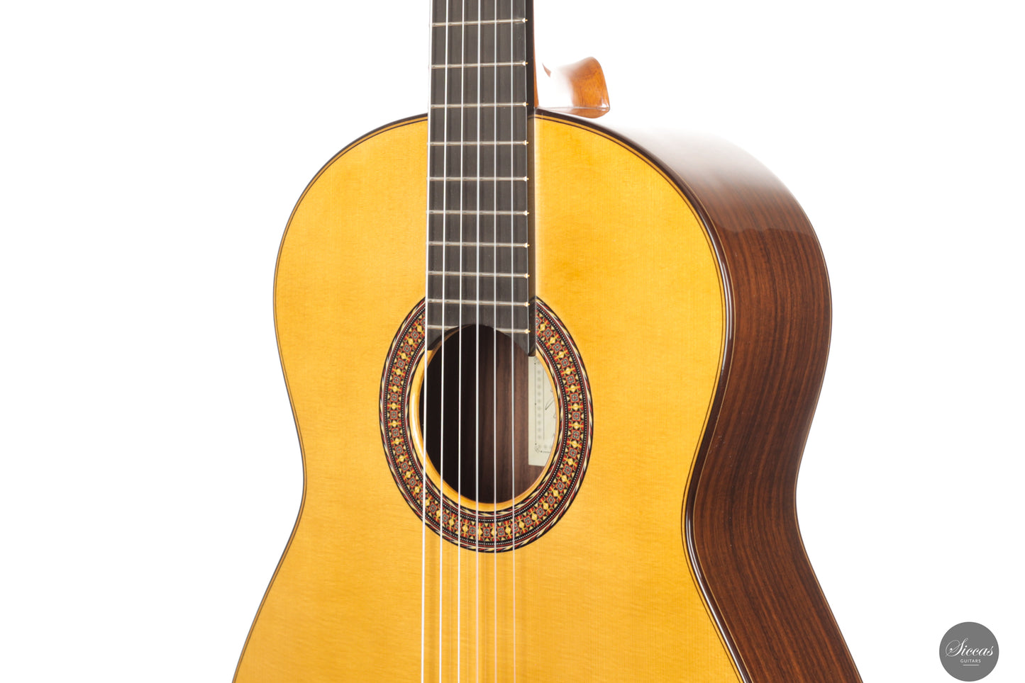 José Salinas - 2024 Spruce