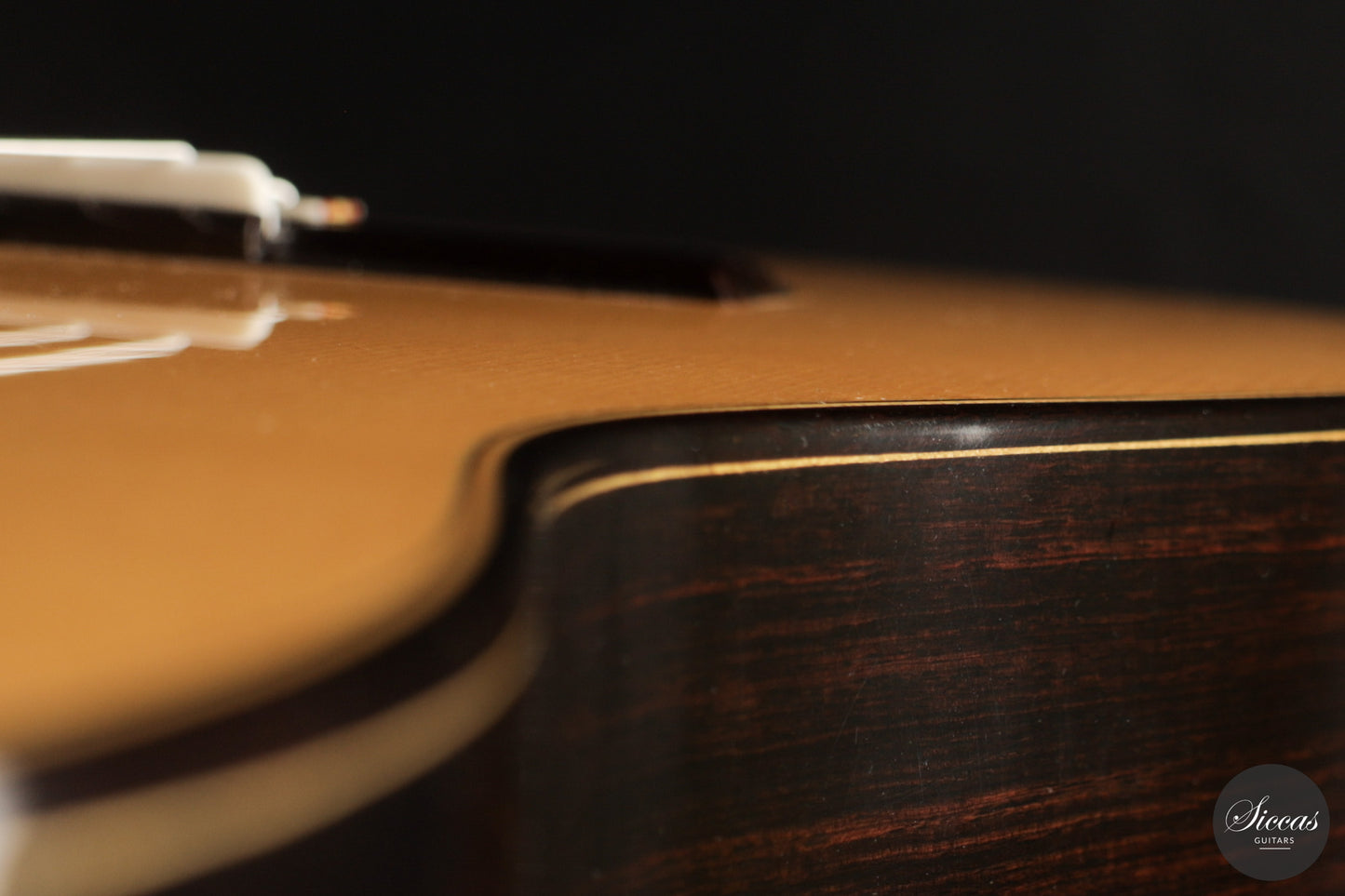 José Salinas - 2026 - 64 cm