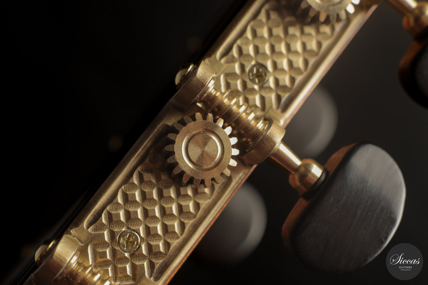 José Salinas - 2026 - 64 cm