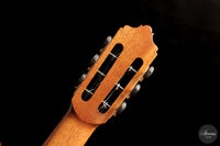 José Salinas - 2026 - 64 cm