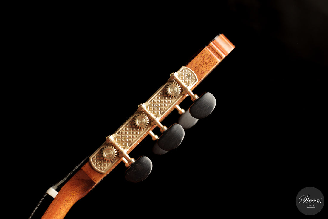 José Salinas - 2026 - 64 cm