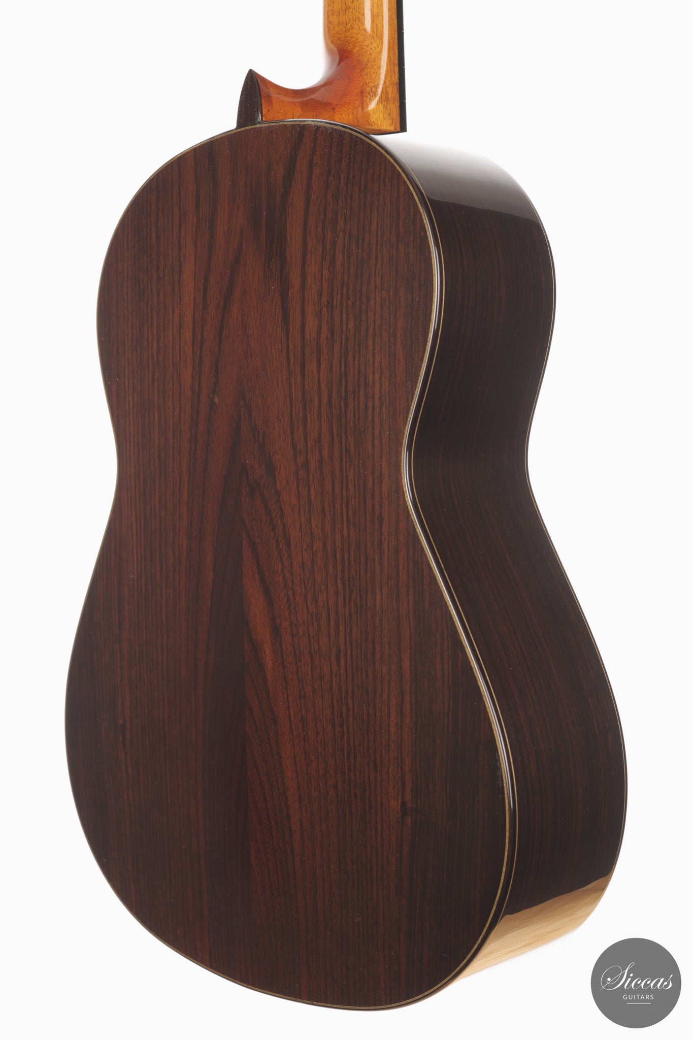 José Salinas - 2026 - 64 cm