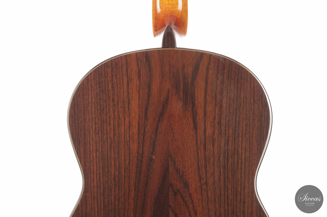 José Salinas - 2026 - 64 cm