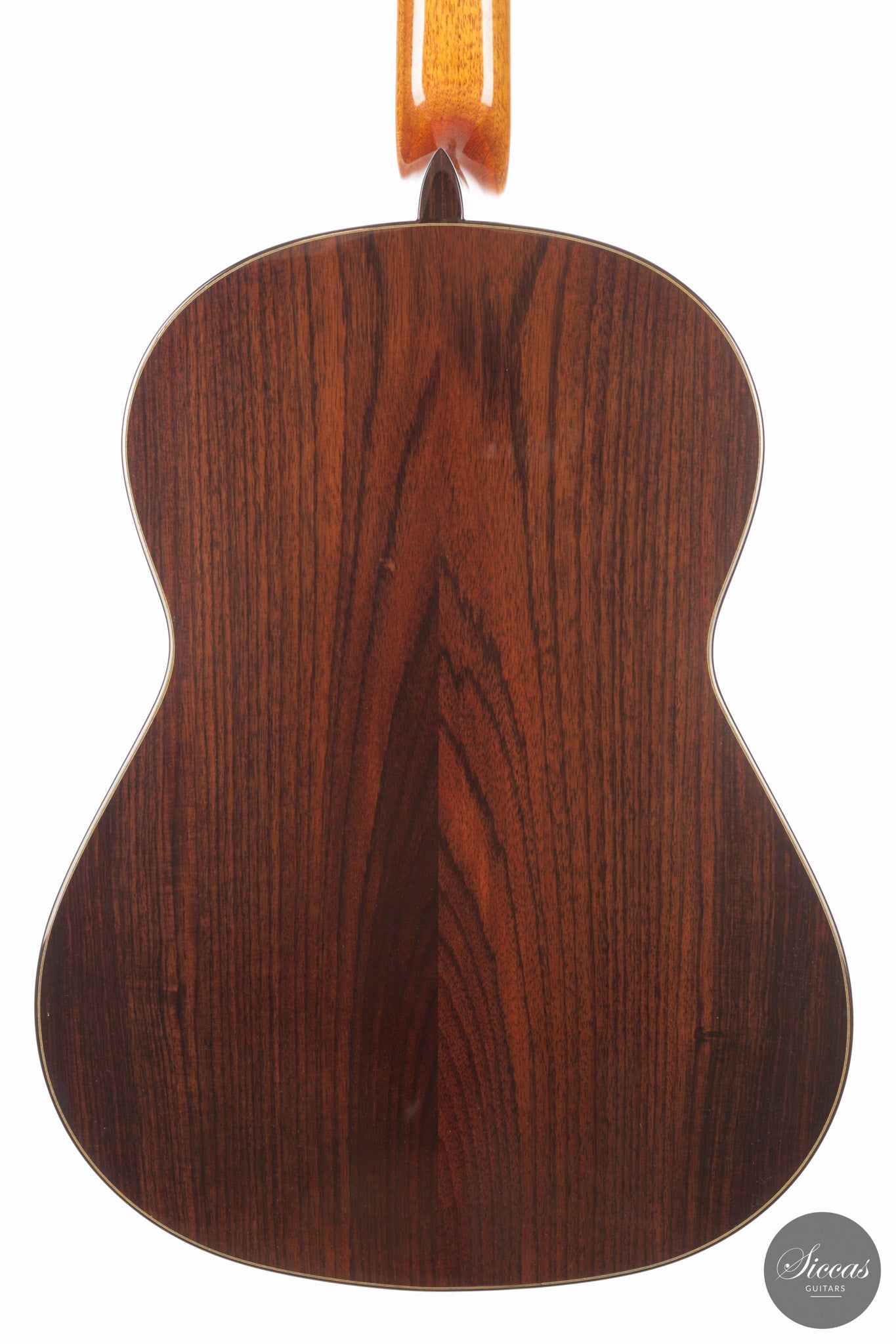 José Salinas - 2026 - 64 cm