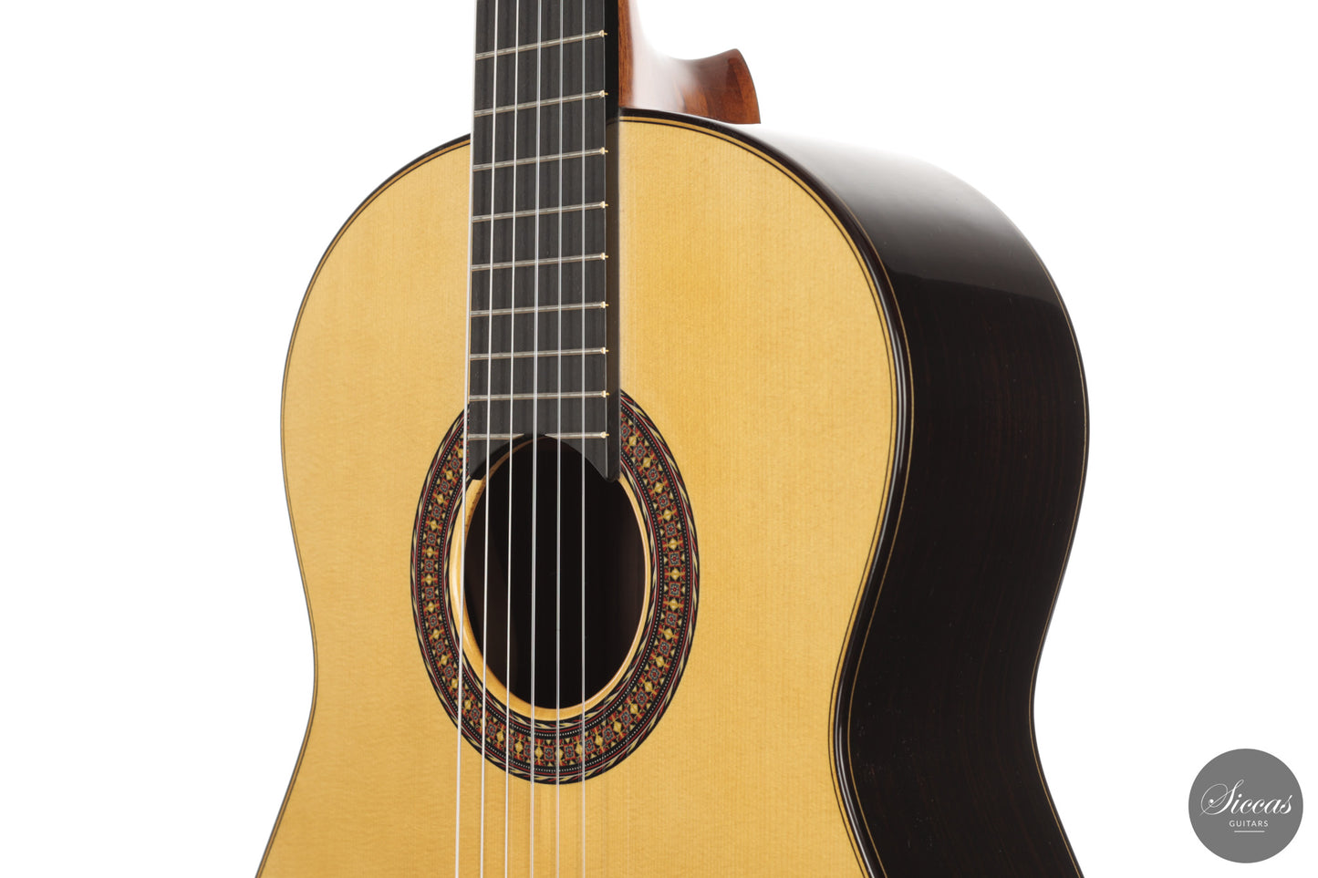 José Salinas - 2026 - 64 cm