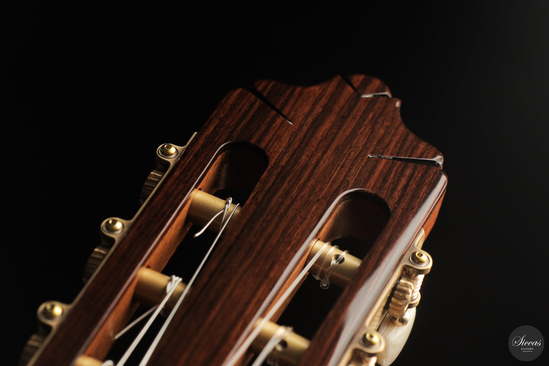 José Salinas - 2026 Cedar 64 cm