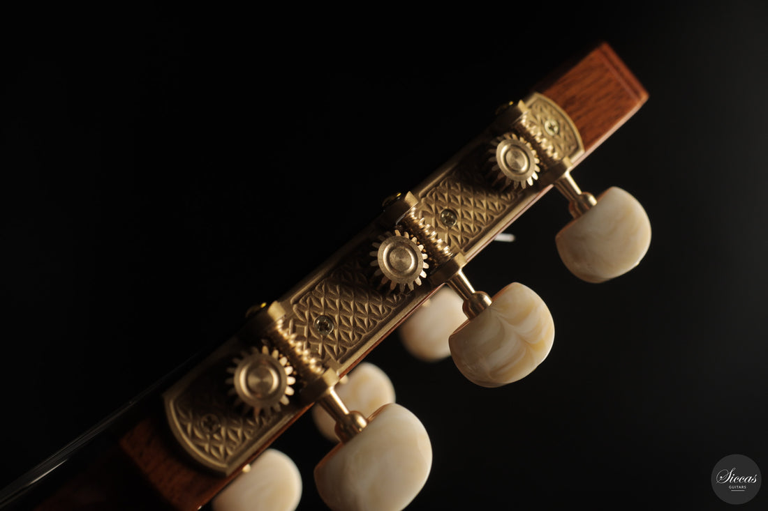 José Salinas - 2026 Cedar 64 cm