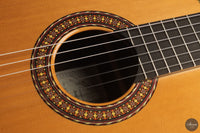 José Salinas - 2026 Cedar 64 cm