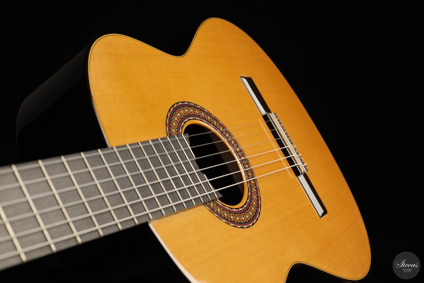 José Salinas - 2026 Cedar 64 cm