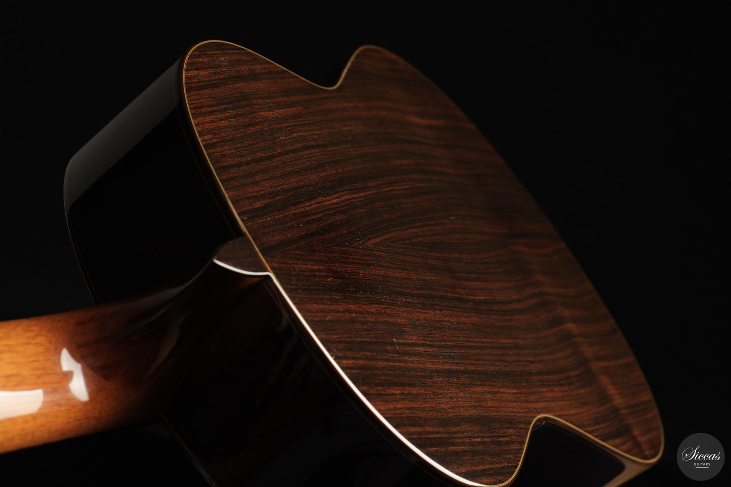 José Salinas - 2026 Cedar 64 cm