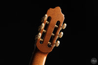 José Salinas - 2026 Cedar 64 cm