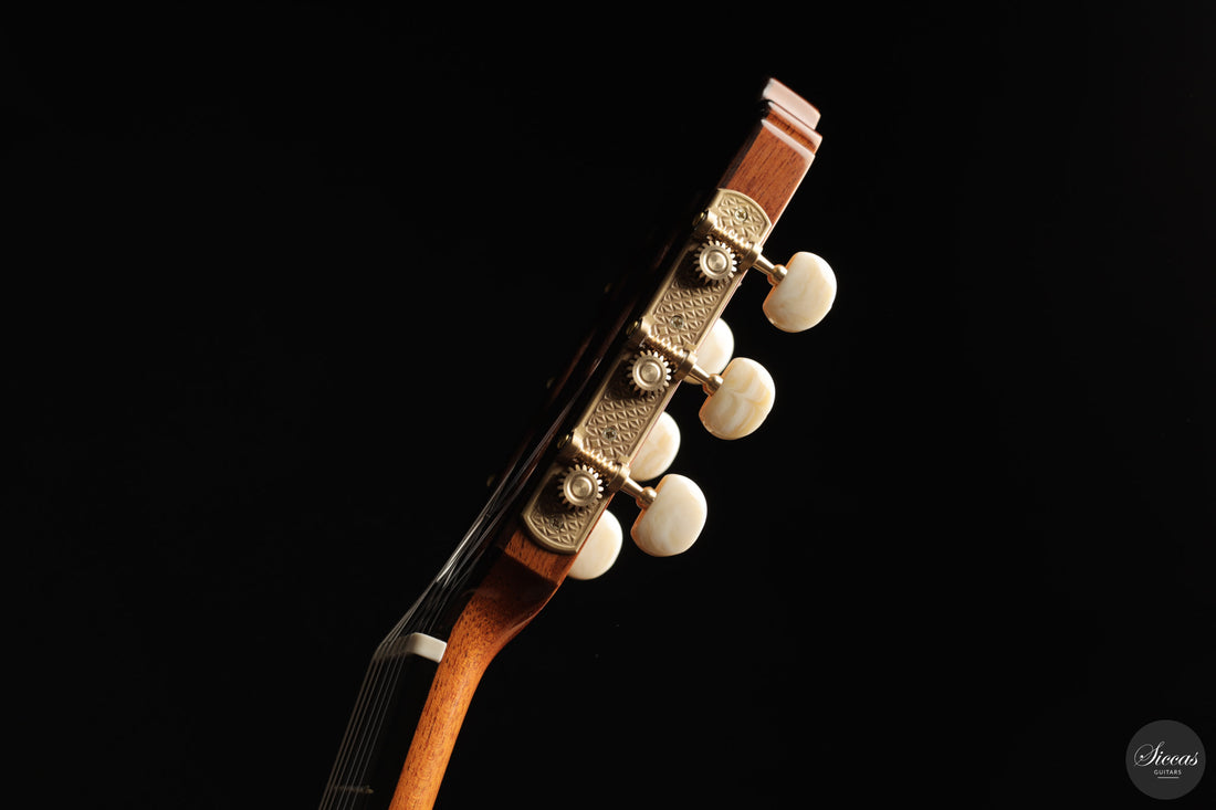 José Salinas - 2026 Cedar 64 cm