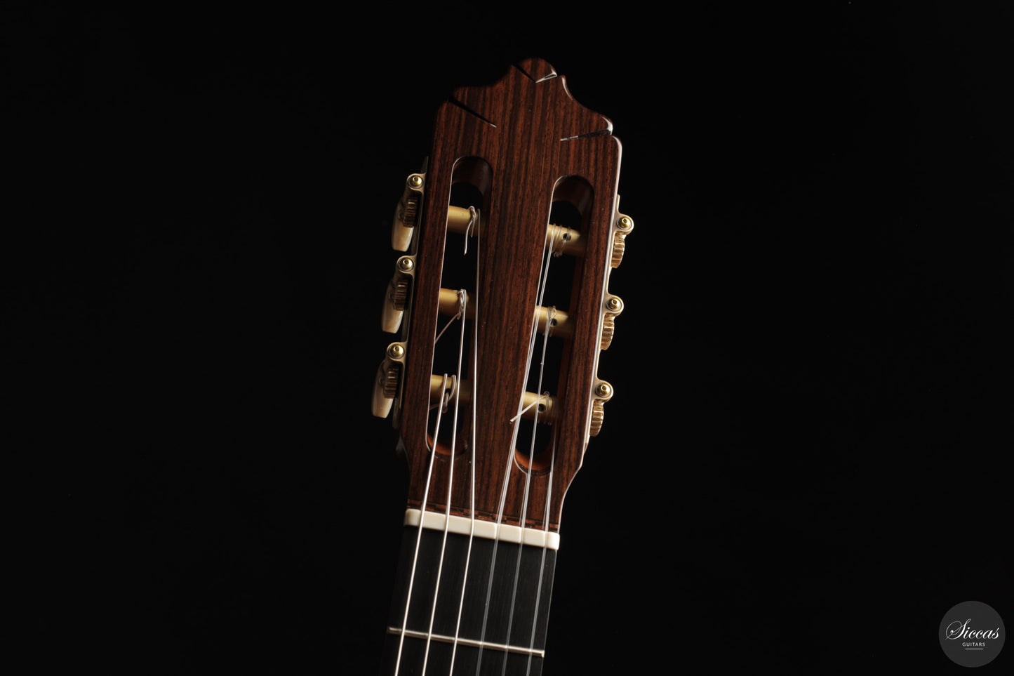 José Salinas - 2026 Cedar 64 cm