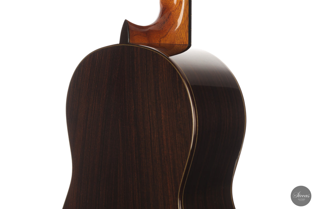 José Salinas - 2026 Cedar 64 cm