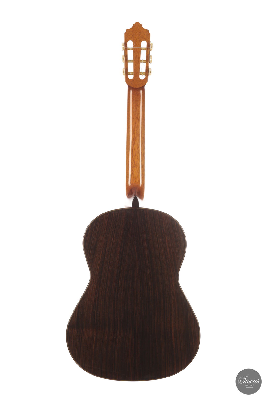José Salinas - 2026 Cedar 64 cm