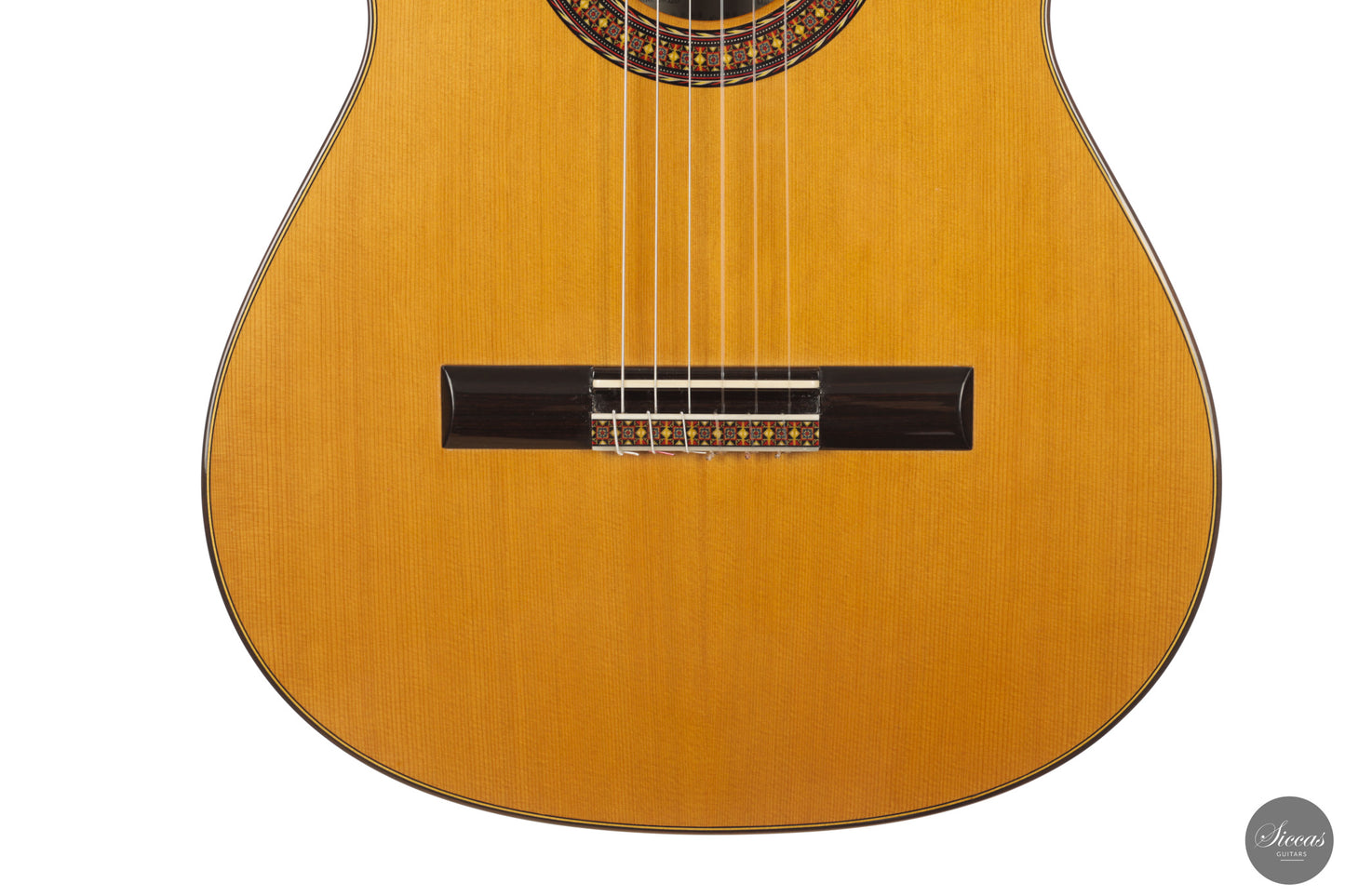 José Salinas - 2026 Cedar 64 cm