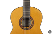 José Salinas - 2026 Cedar 64 cm